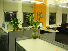 Feng Shui pentru firme