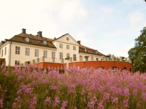 Ce asteptari ai de la feng shui