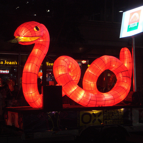 Year Snake